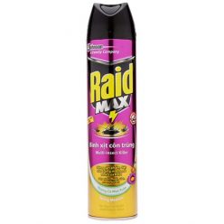 Bình xịt côn trùng Raid hương Cỏ mùa xuân chai 600ml